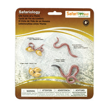 Afbeelding in Gallery-weergave laden, Safariology, levenscyclus - worm