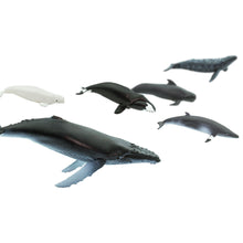 Afbeelding in Gallery-weergave laden, Safari, Toob set speelfiguurtjes - Whales